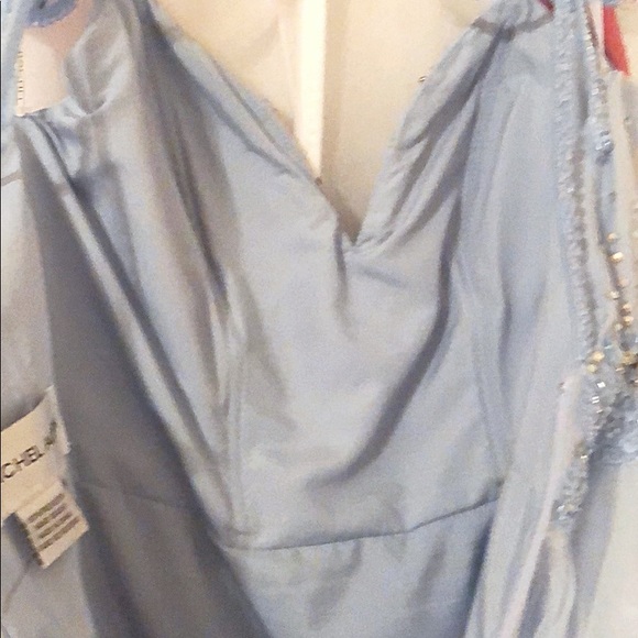 Rachel Allan 6605 dress! - Picture 7 of 11